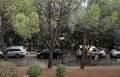 DSC00789 00